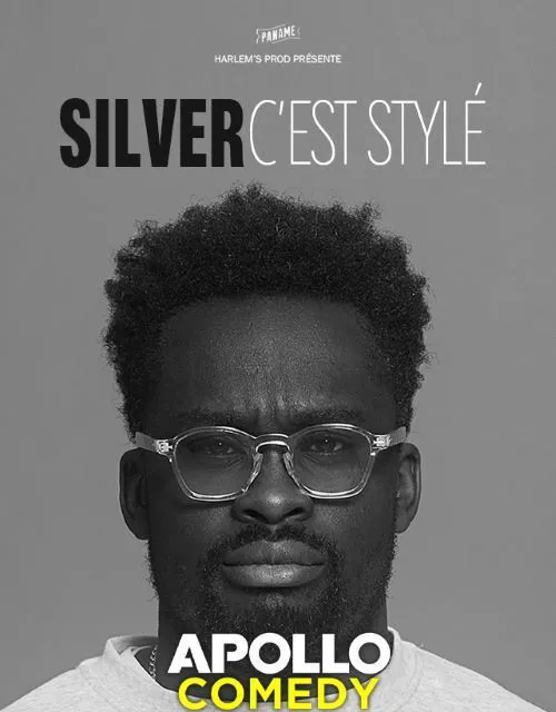 Affiche de Silver dans Silver, c'est stylé