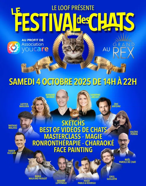 Affiche de Le Festival des chats