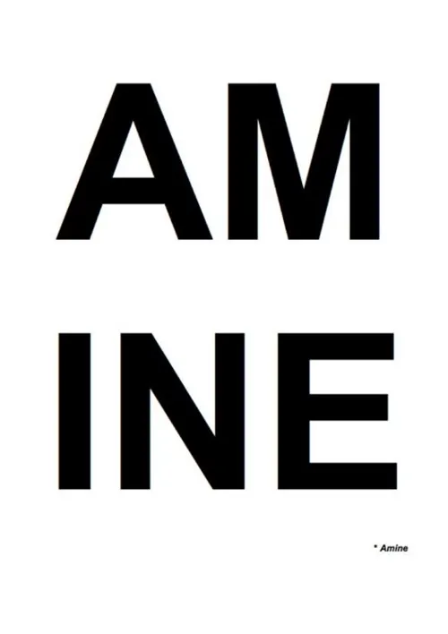Affiche de Amine Amin Imean