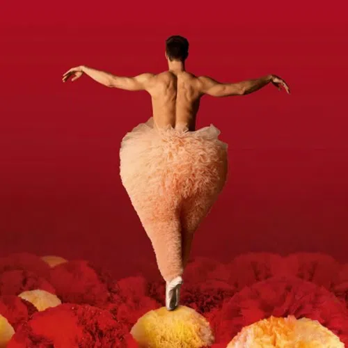 Affiche de Tutu