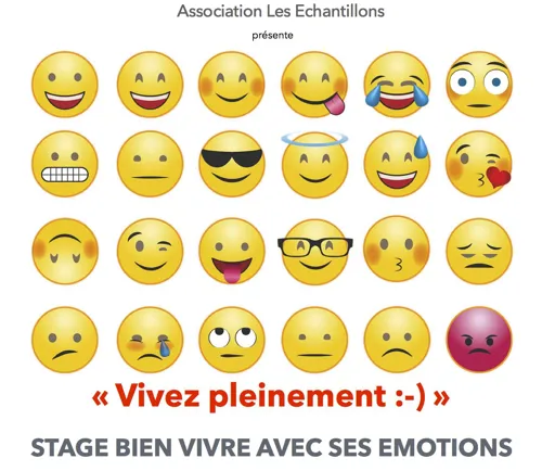 Affiche de Bien vivre avec ses émotions