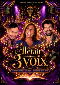 Affiche de Il était 3 voix
