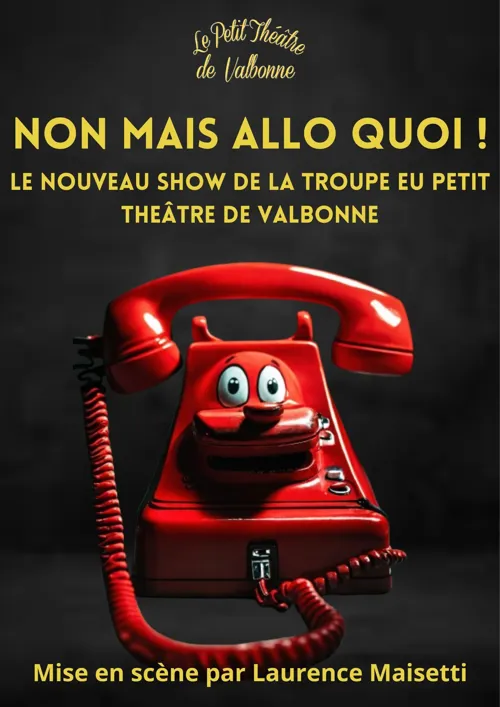 Affiche de Non mais allo quoi