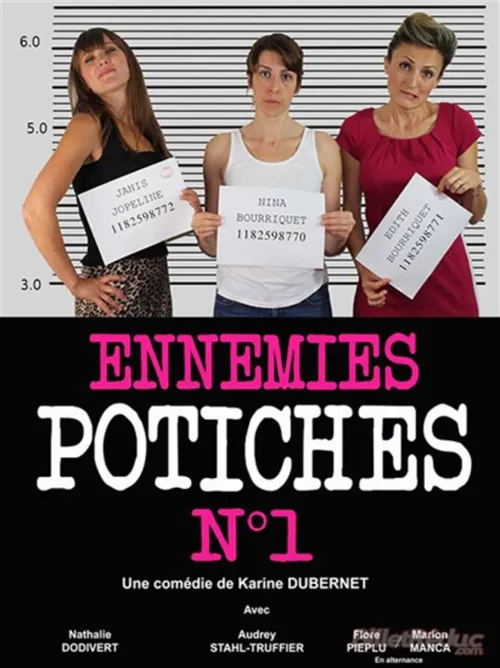 Affiche de Ennemies Potiches N°1