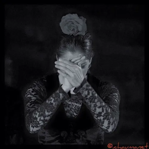 Photo 1 de Amor del flamenco