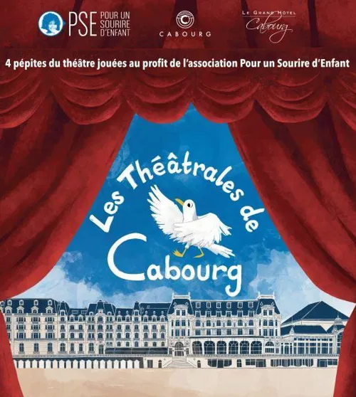 Affiche de Dolto, lorsque Françoise parait