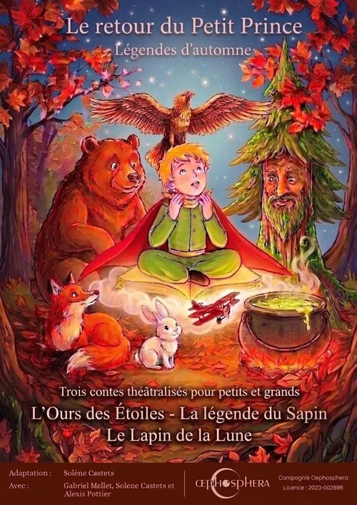 Affiche de Le retour du petit prince
