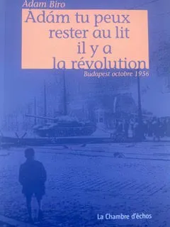 Affiche de Ádám tu peux rester au lit, il y a la révolution