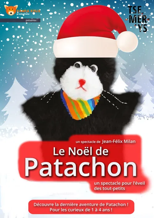 Affiche de Le Noël de Patachon