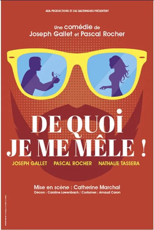 Affiche de De quoi je me mêle !