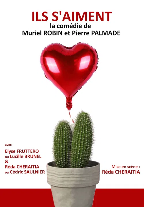 Affiche de Ils s'aiment