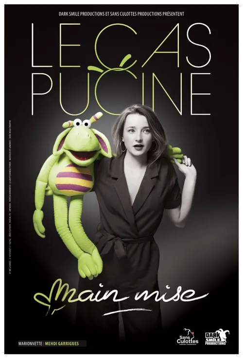 Affiche de Le Cas Pucine dans Main mise