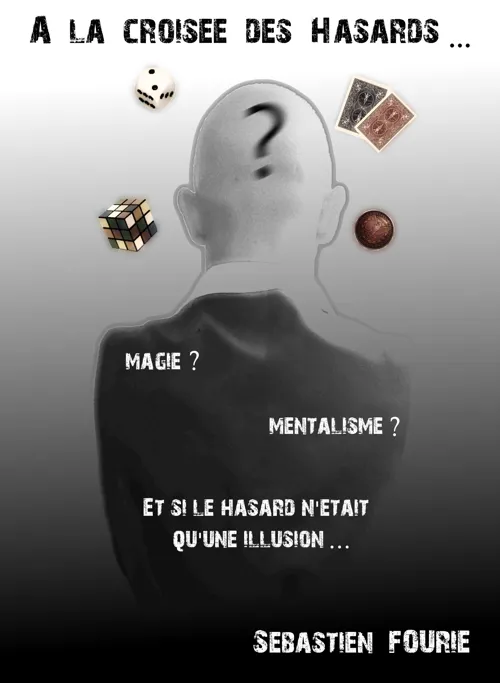 Affiche de Sébastien Fourie dans A la croisée des hasards