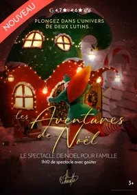 Affiche de Les Aventures de Noël à la Chouette