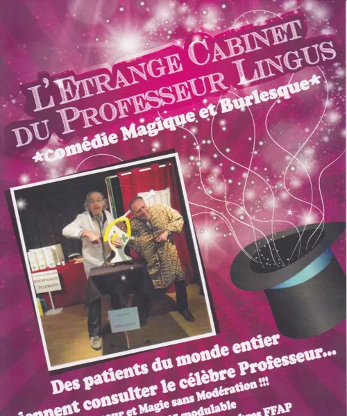Affiche de L'étrange cabinet du professeur Lingus