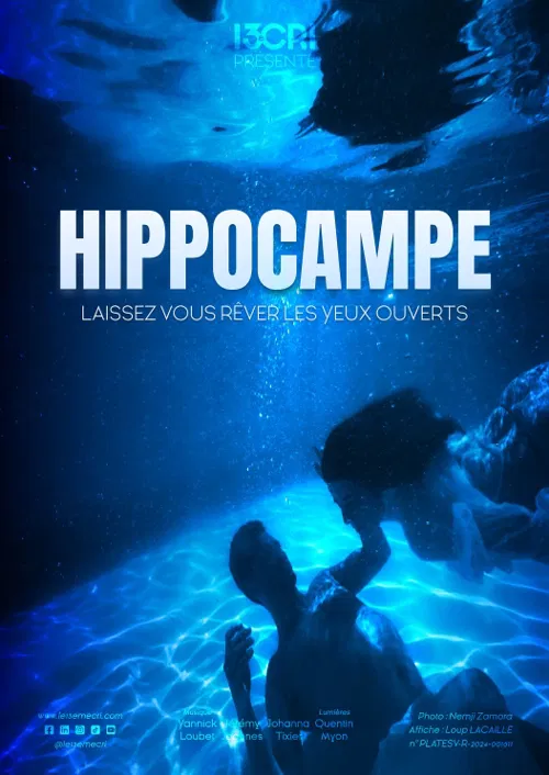 Affiche de Hippocampe : Le rencard de l'impro