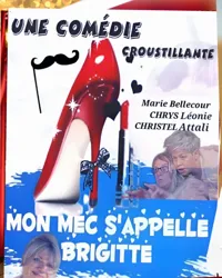 Mon mec s'appelle Brigitte - 