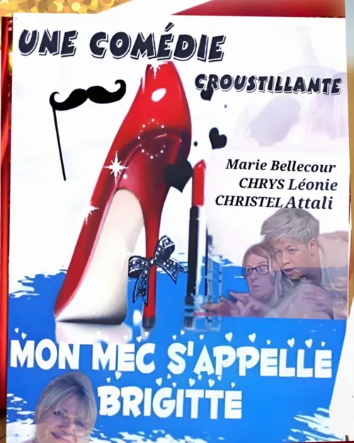 Affiche de Mon mec s'appelle Brigitte