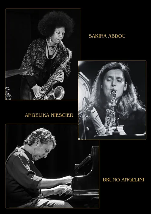 Affiche de Bruno Angelini trio : Lotus flowers