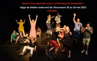 Stage théâtre impro adultes - 