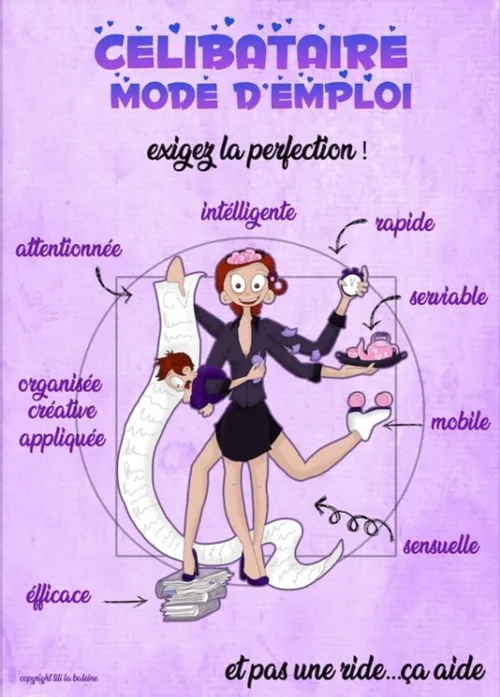 Affiche de Célibataire mode d'emploi