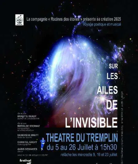 Affiche de Sur les ailes de l'invisible