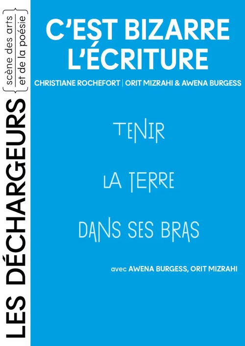 Affiche de C'est bizarre l'écriture