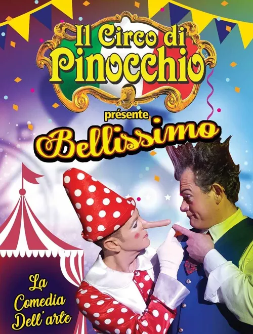 Affiche de Il Circo di Pinocchio | Limoges