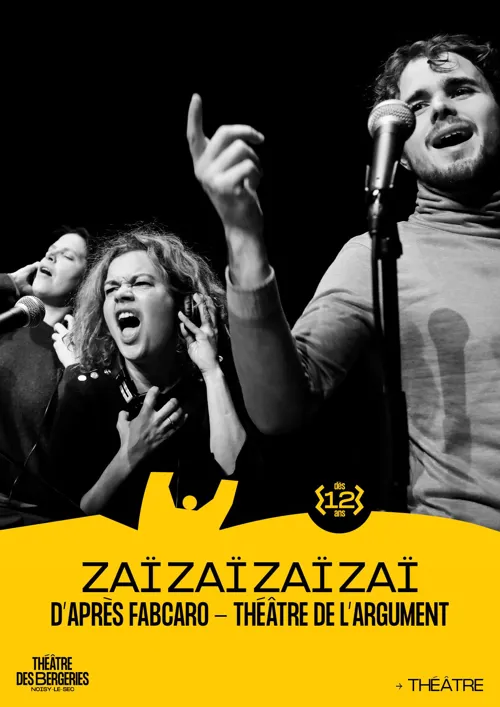 Affiche de Zaï Zaï Zaï Zaï