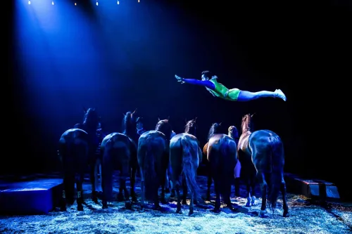 Photo 5 de Compagnie Alexis Gruss dans Origines