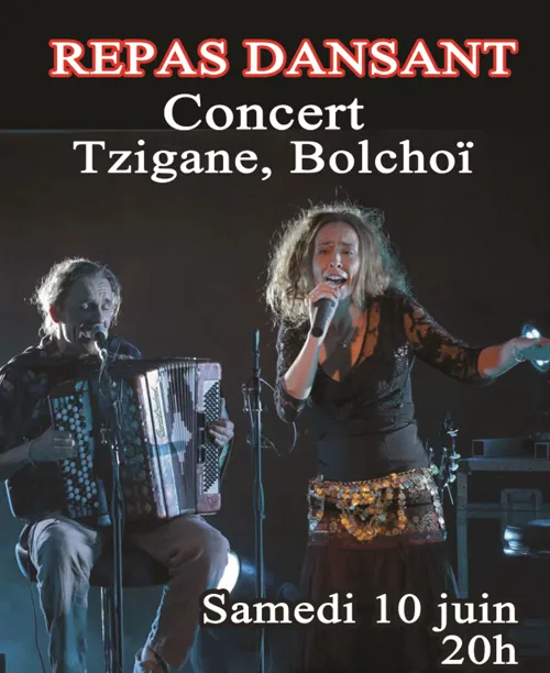 Affiche de Repas concert tzigane