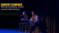 Concert Flamenco : Niño de Gambetta - 