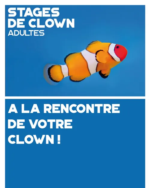 Affiche de Stages Clown Adultes