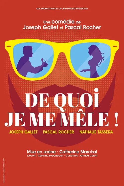 Affiche de De quoi je me mêle !