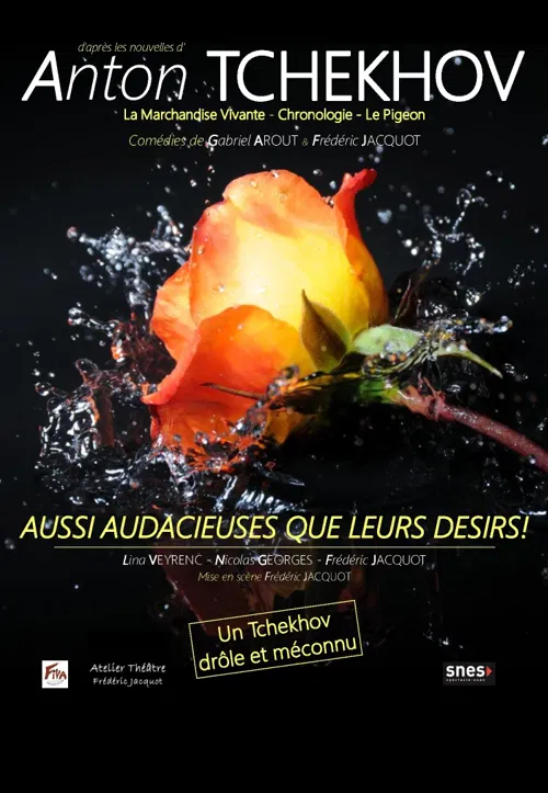 Affiche de Aussi audacieuses que leurs désirs !