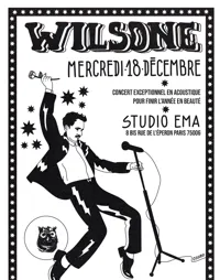Concert acoustique Wilsone - 