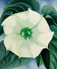 Visite guidée : Rétrospective Georgia O'Keeffe | par Loetitia Mathou - 