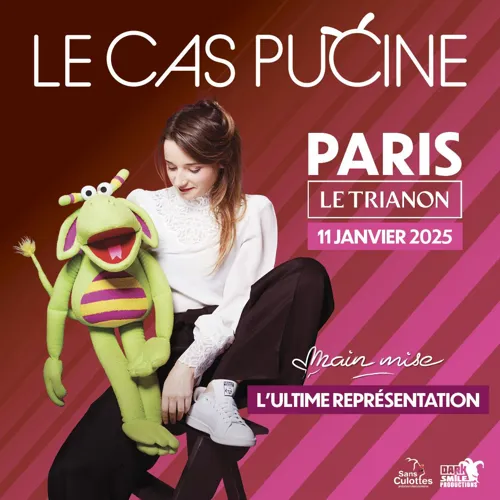 Affiche de Le Cas Pucine Main Mise