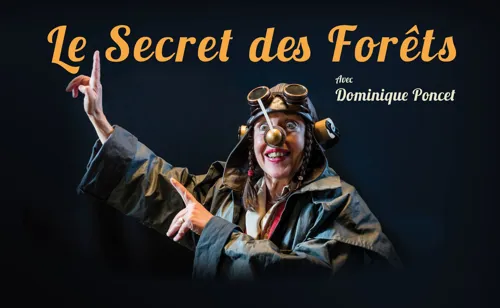 Affiche de Le secret des forêts