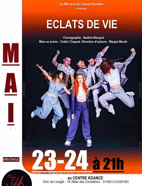 Affiche de Eclats de Vies