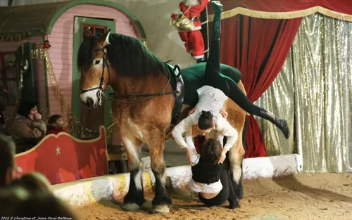 Photo 2 de Mardi Gras au cirque !