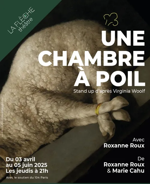 Affiche de Une chambre à poil