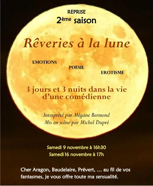 Affiche de Rêveries à la lune