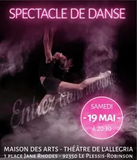 Spectacle de danse - 