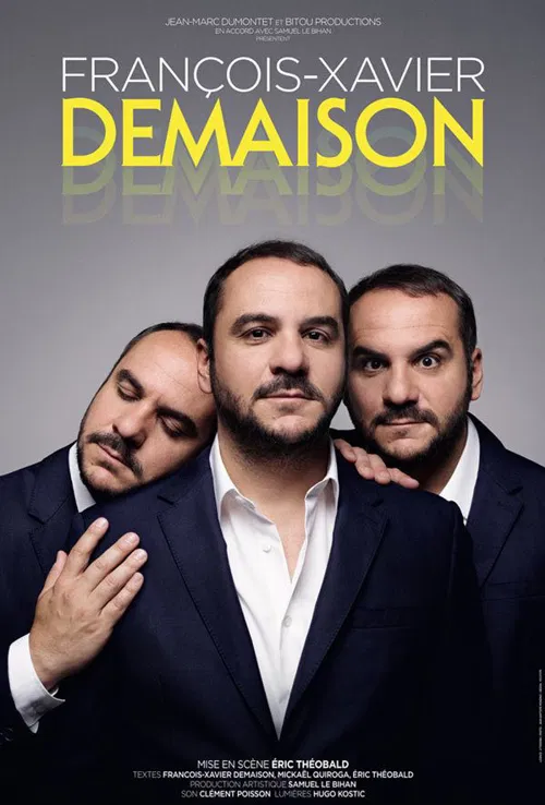 Affiche de François-Xavier Demaison