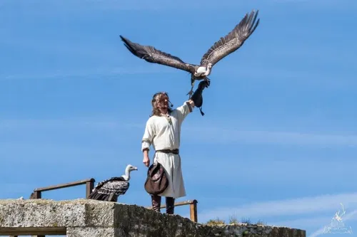 Les Aigles des Remparts