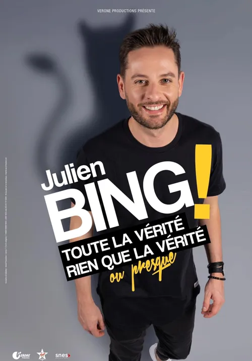 Affiche de Julien Bing dans Toute la vérité, rien que la vérité, ou presque