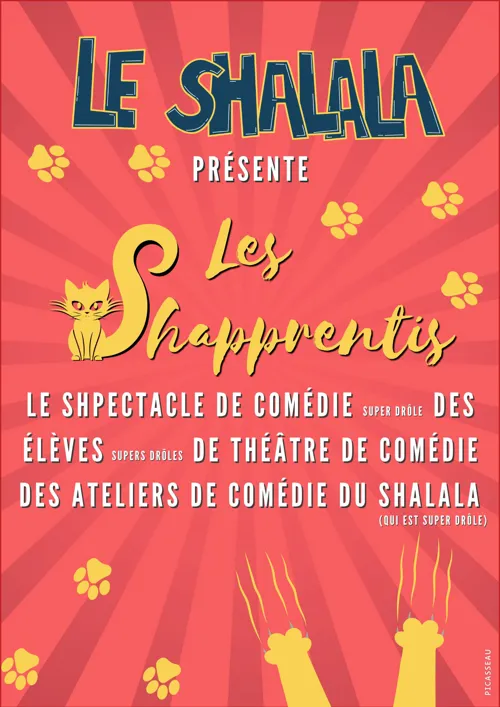 Affiche de Les Shapprentis du mardi