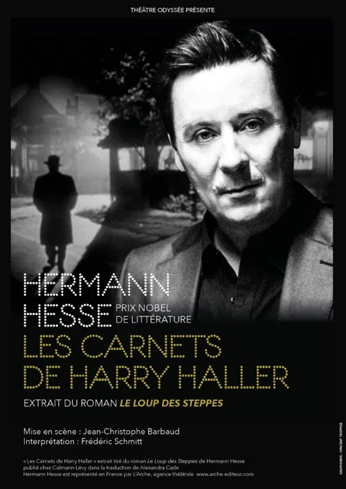 Affiche de Les Carnets de Harry Haller