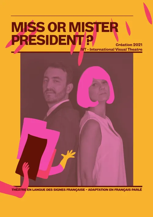 Affiche de Miss or Mister president ?